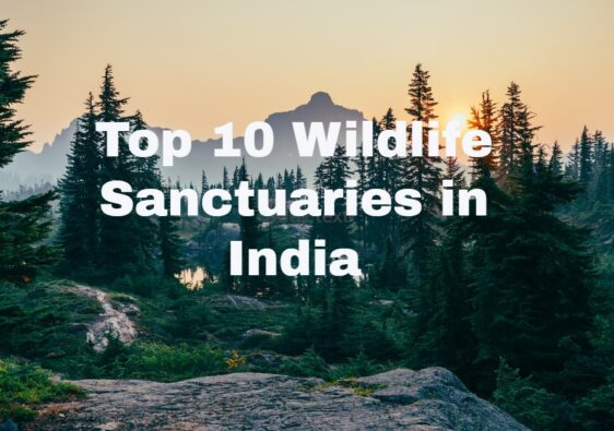 top 10 wildlife santuaries